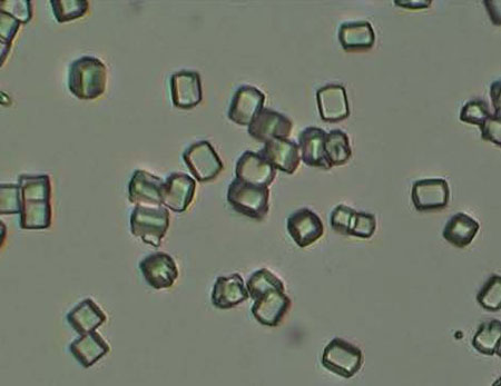 Storage solutions of lysozyme protein crystals