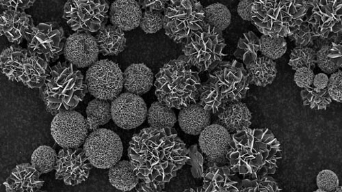 Octacalcium phosphate nanoparticles, seen under an electron microscope