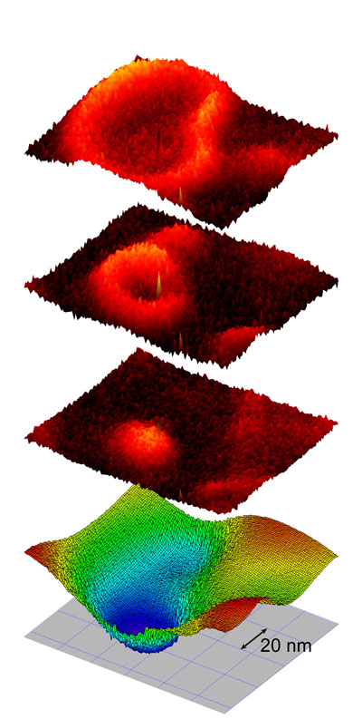 the distribution of massless Dirac electrons in different Landau levels can be imaged on the surface of bismuth selenide