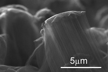 nanotubes grown from a graphene surface