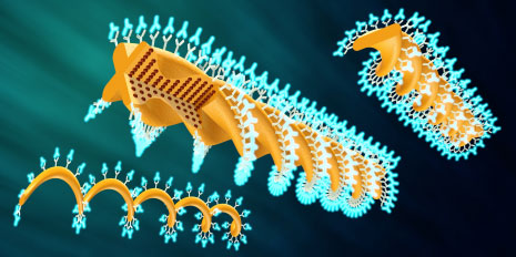 Illustration fo the different micro-actuators that can be coated with active compounds
