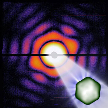 Illustration of a carboxysome in the X-ray laser