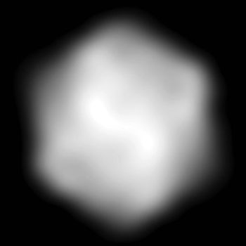 Reconstructed image of an individual carboxysome