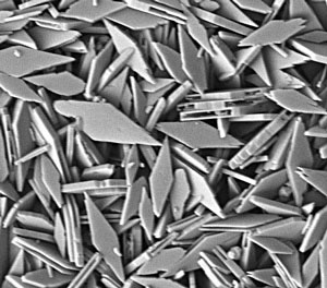 Cathodes made from hollow plates of lithium iron phosphate