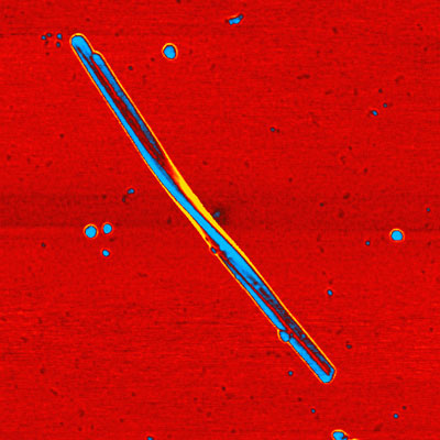 A twisted ribbon of cadmium telluride nanoparticles
