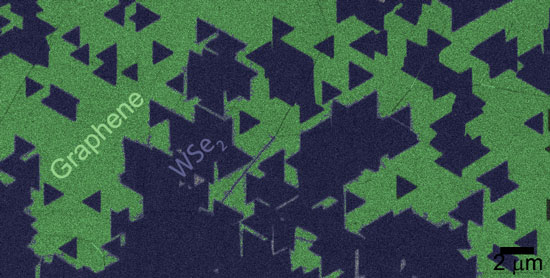 Colorized TEM image of tungsten disulfide triangles (black) growing on graphene substrate (green)