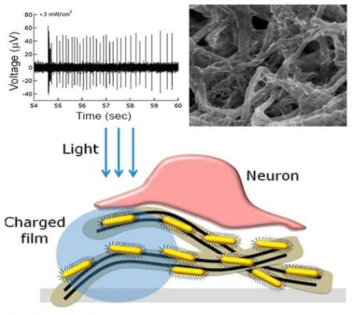 Carbon nanotube-semiconductor nanocrystals film for light stimulation of the retina