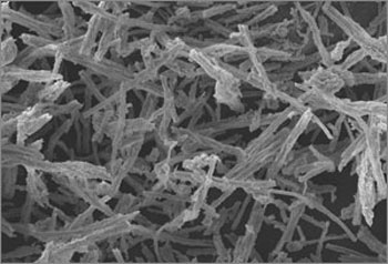 Mesoporous silica rods forming a 3D scaffold