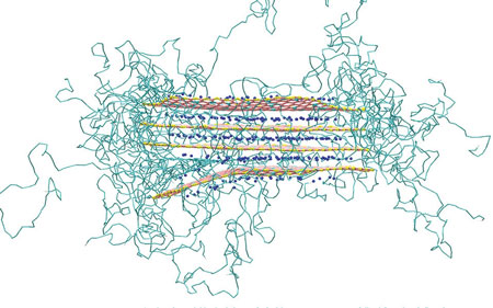 Clay particle sheets with polymer