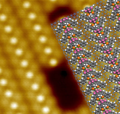 Scanning tunneling microscopy image (background) of the ordered array of diarylethene derivative molecules