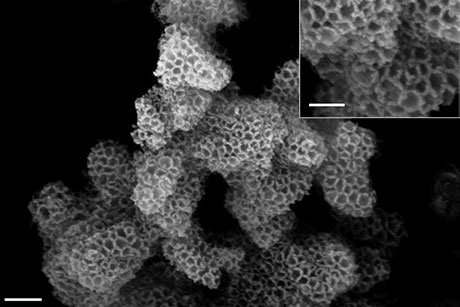 A scanning electron microscopy image of a pristine silica support, before the amine is added