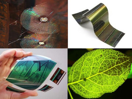 Spider Webs, Leaves and Optoelectronics