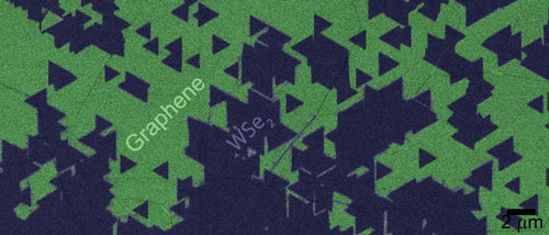 Colorized TEM image of tungsten disulfide triangles (black) growing on graphene substrate (green)