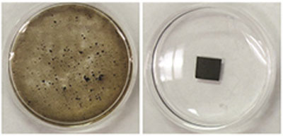 The image on the left shows the neat GO film, which disintegrated in water. The contaminated film on the right remains stable
