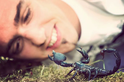 scorpion