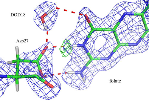 Image shows nuclear density maps in the active site of DHFR where the catalytic group Asp27 and substrate folate have interactions