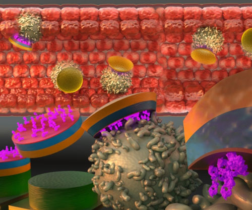 Disc-shaped microparticles use monocytes to get to their destination
