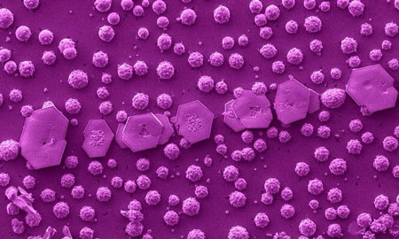 Cadmium selenide nanocrystals on top of a silicon wafer