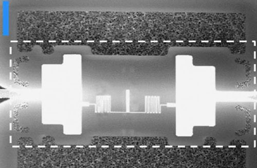 quantum chip
