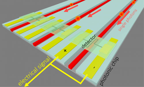 Illustration of superconducting detectors on arrayed waveguides on a photonic integrated circuit for detection of single photons