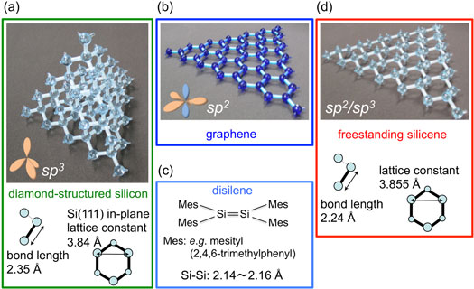 Structures and structural parameters of (a) diamond-structured silicon, (b) graphene, (c) disilene and (d) hypothetical, freestanding silicene