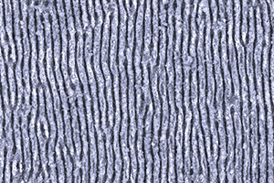 Scanning electron micrograph showing a ripple pattern formed on a silicon surface