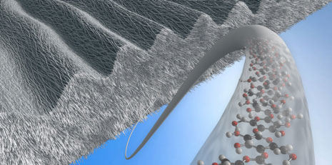 Cartoon depicting a surface-structured sheath composed of bacterial cellulose nanofibers