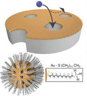 Nanoparticle membranes in action