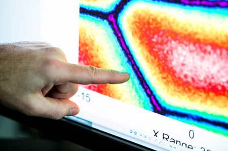 detail of a map of the mechanical properties of a plant cell