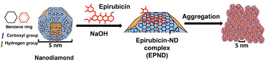 Schematic model showing surface and chemical structure of nanodiamond (ND) and Epirubicin (Epi)