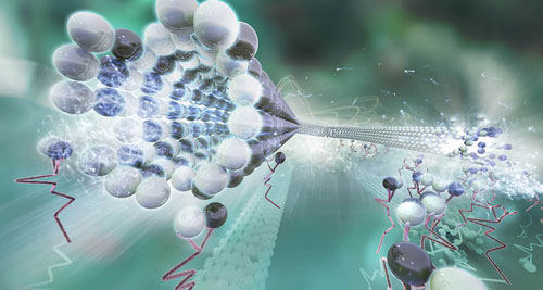 Molecular shuttles