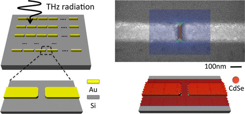 Nanoantenna Enhanced Terahertz Spectroscopy
