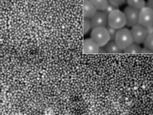 Scanning electron microscopy image showing silica-coated silver nanoparticles