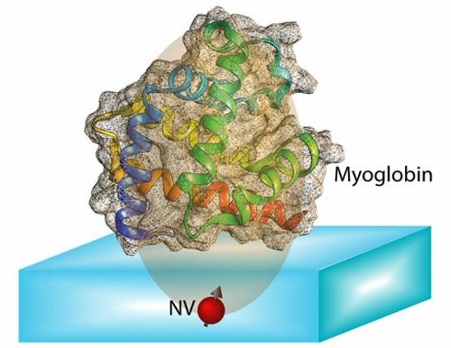 computing protein structures