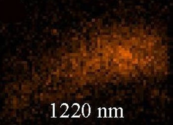 Confocal microscopy image of a metamaterial