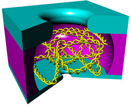 A nanoscale cage