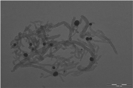 a peptide binds the dispersed carbon nanotubes to lithium manganese nickel oxide particles