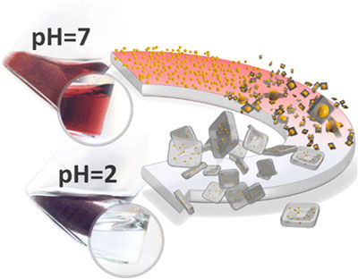 Gold–Oxoborate Nanocomposites