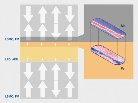 The insulating LFO-layer in its normal state is antiferromagnetically ordered (AFM) and has no ferromagnetic domains