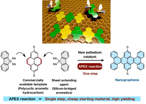A Single-Step APEX Reaction to Synthesize Uniform Nanographenes