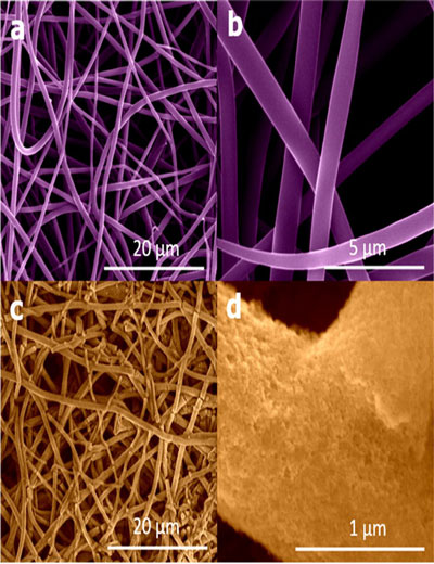 Microscopic images of silicon nanofibers