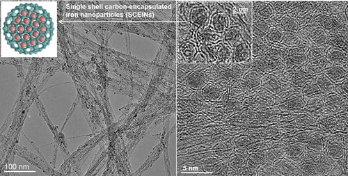 Single Shell Carbon-Encapsulated Iron Nanoparticles