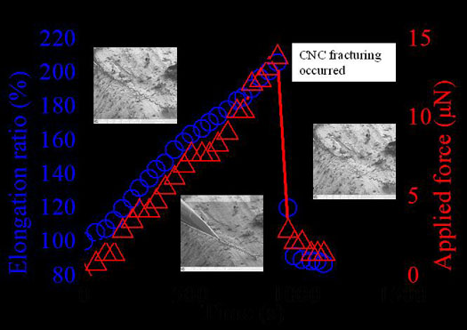 Carbon Nanocoil Tensile Tests