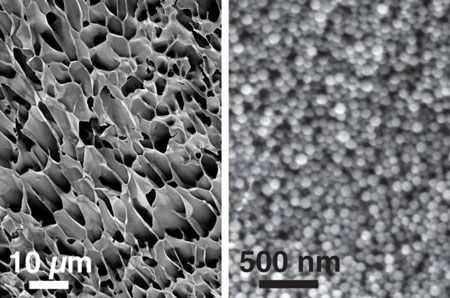 hydrogels made of nanoparticles interacting with long polymer chains