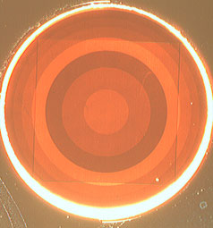 concentric rings of metallic nano-antennas
