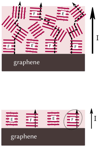polymer fild deposited atop graphene