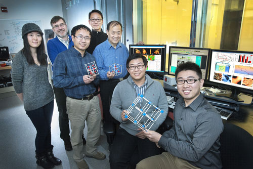 (from left) Jing Li, Eric Stach, Xiqian Yu, Dong Su, Xiao-Qing Yang, Kai He, and Huolin Xin