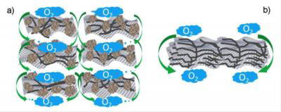 Image of Nanocarbon-Based Catalyst