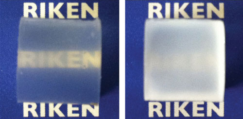 a RIKEN logo can be viewed clearly through the material from two directions, whereas the material is opaque when viewed orthogonally to the aligned titanate nanosheets