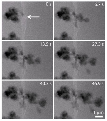 electron microscopy captured the first real-time nanoscale images of the nucleation and growth of lithium dendrite structures